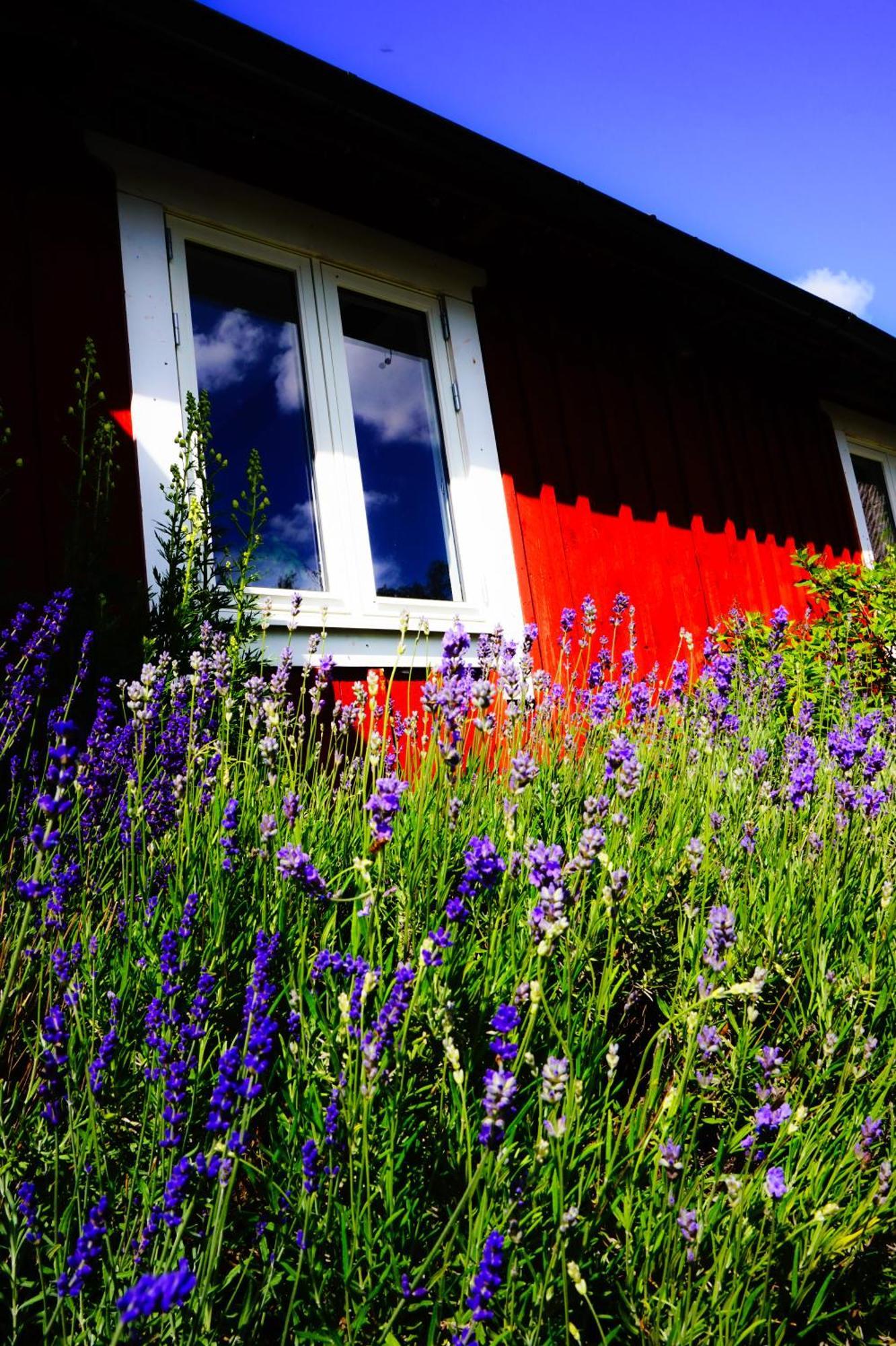 Liten Paerontraedgard Perstorp Bagian luar foto